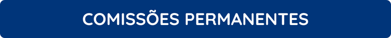comissoes permanentes