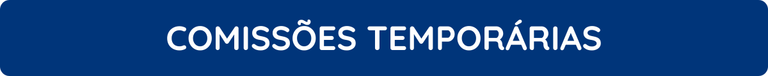 comissoes temporarias