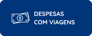 despesa_viagens.png